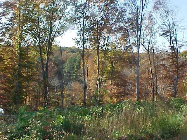 Property in Richmond County