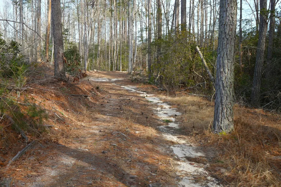 Property in Northumberland