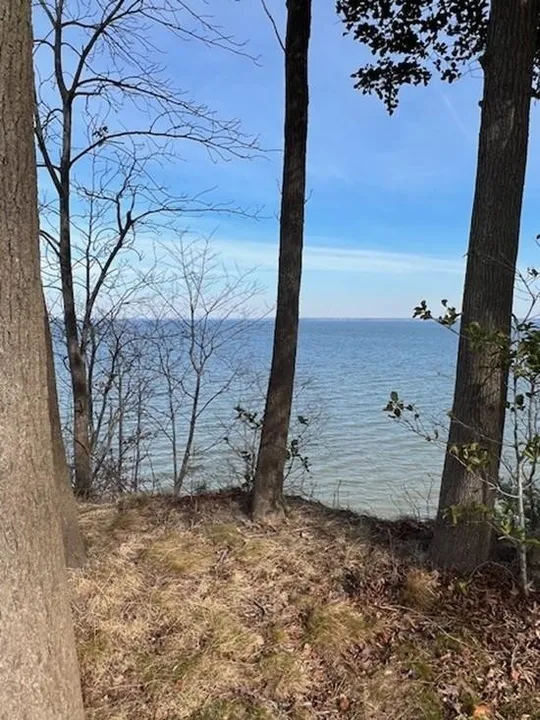 Property in Westmoreland